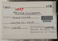 Image Associated With the Occurence